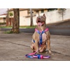image:imageSpark Paws Premium Dog Leash amp Poop Bag Set  90s RetroSnow Cone