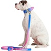 image:imageSpark Paws Premium Dog Leash amp Poop Bag Set  90s RetroSnow Cone