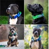image:imageSpark Paws Tactical Large Dog Collar wHandle  Thick amp Wide Heavy DutyLime Wave