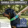 image:imageSpark Paws Tactical Large Dog Collar wHandle  Thick amp Wide Heavy DutyLime Wave