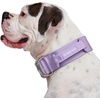 image:imageSpark Paws Tactical Large Dog Collar wHandle  Thick amp Wide Heavy DutyPurple