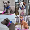 image:imageSpark Paws Tactical Large Dog Collar wHandle  Thick amp Wide Heavy DutySnow Cone