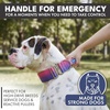 image:imageSpark Paws Tactical Large Dog Collar wHandle  Thick amp Wide Heavy DutySnow Cone