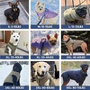 image:imageSpark Paws Winter Dog Jacket  Warm Water Resistant Coat Warm Fleece LinedLilac