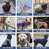image:imageSpark Paws Winter Dog Jacket  Warm Water Resistant Coat Warm Fleece LinedOlive