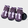 365 Purple