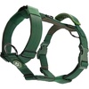 Solid Green