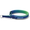 image:imageSpark Paws Martingale Dog Collar  Cushioned SlipOn Training Collar04 Lime Wave