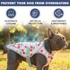 image:imageSpark Paws Dog Cooling Vest  Evaporative Summer Cooling SPF50 ProtectionCherries