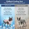 image:imageSpark Paws Dog Cooling Vest  Evaporative Summer Cooling SPF50 ProtectionCherries