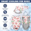 image:imageSpark Paws Dog Cooling Vest  Evaporative Summer Cooling SPF50 ProtectionCherries