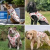 image:imageSpark Paws Dog Cooling Vest  Evaporative Summer Cooling SPF50 ProtectionCherries
