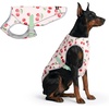 image:imageSpark Paws Dog Cooling Vest  Evaporative Summer Cooling SPF50 ProtectionCherries