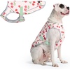 image:imageSpark Paws Dog Cooling Vest  Evaporative Summer Cooling SPF50 ProtectionCherries