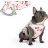 image:imageSpark Paws Dog Cooling Vest  Evaporative Summer Cooling SPF50 ProtectionCherries