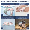 image:imageSpark Paws Dog Cooling Vest  Evaporative Summer Cooling SPF50 ProtectionCherries