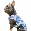 image:imageSpark Paws Dog Cooling Vest  Evaporative Summer Cooling SPF50 ProtectionIce Blue