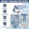 image:imageSpark Paws Dog Cooling Vest  Evaporative Summer Cooling SPF50 ProtectionIce Blue