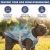 image:imageSpark Paws Dog Cooling Vest  Evaporative Summer Cooling SPF50 ProtectionIce Blue