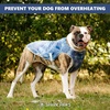 image:imageSpark Paws Dog Cooling Vest  Evaporative Summer Cooling SPF50 ProtectionIce Blue