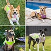 image:imageSpark Paws Dog Cooling Vest  Evaporative Summer Cooling SPF50 ProtectionNeon Purple