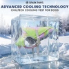 image:imageSpark Paws Dog Cooling Vest  Evaporative Summer Cooling SPF50 ProtectionNeon Purple
