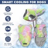 image:imageSpark Paws Dog Cooling Vest  Evaporative Summer Cooling SPF50 ProtectionNeon Purple