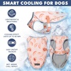 image:imageSpark Paws Dog Cooling Vest  Evaporative Summer Cooling SPF50 ProtectionPeaches