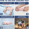 image:imageSpark Paws Dog Cooling Vest  Evaporative Summer Cooling SPF50 ProtectionPeaches