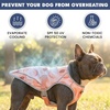 image:imageSpark Paws Dog Cooling Vest  Evaporative Summer Cooling SPF50 ProtectionPeaches