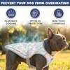 image:imageSpark Paws Dog Cooling Vest  Evaporative Summer Cooling SPF50 ProtectionPopsicles