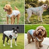 image:imageSpark Paws Dog Cooling Vest  Evaporative Summer Cooling SPF50 ProtectionPopsicles