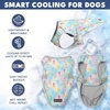 image:imageSpark Paws Dog Cooling Vest  Evaporative Summer Cooling SPF50 ProtectionPopsicles