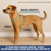 image:imageSpark Paws Dog Cooling Vest  Evaporative Summer Cooling SPF50 ProtectionSnowcone