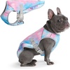 image:imageSpark Paws Dog Cooling Vest  Evaporative Summer Cooling SPF50 ProtectionSnowcone