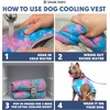 image:imageSpark Paws Dog Cooling Vest  Evaporative Summer Cooling SPF50 ProtectionSnowcone