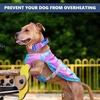 image:imageSpark Paws Dog Cooling Vest  Evaporative Summer Cooling SPF50 ProtectionSnowcone