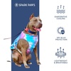 image:imageSpark Paws Dog Cooling Vest  Evaporative Summer Cooling SPF50 ProtectionSnowcone