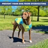 image:imageSpark Paws Dog Cooling Vest  Evaporative Summer Cooling SPF50 ProtectionTropical Storm