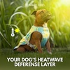 image:imageSpark Paws Dog Cooling Vest  Evaporative Summer Cooling SPF50 ProtectionTropical Storm