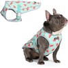 image:imageSpark Paws Dog Cooling Vest  Evaporative Summer Cooling SPF50 ProtectionWatermelon