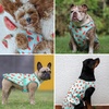 image:imageSpark Paws Dog Cooling Vest  Evaporative Summer Cooling SPF50 ProtectionWatermelon