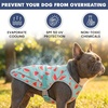 image:imageSpark Paws Dog Cooling Vest  Evaporative Summer Cooling SPF50 ProtectionWatermelon