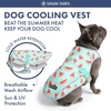 image:imageSpark Paws Dog Cooling Vest  Evaporative Summer Cooling SPF50 ProtectionWatermelon