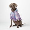 image:imageSpark Paws Dog Hoodie  ButterySoft Sweater Sweatshirt Clothes for Puppy90s Retro Sky Dye