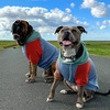 image:imageSpark Paws Dog Hoodie  ButterySoft Sweater Sweatshirt Clothes for PuppyAlpine