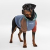 image:imageSpark Paws Dog Hoodie  ButterySoft Sweater Sweatshirt Clothes for PuppyAlpine
