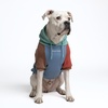 image:imageSpark Paws Dog Hoodie  ButterySoft Sweater Sweatshirt Clothes for PuppyAlpine