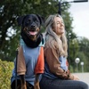 image:imageSpark Paws Dog Hoodie  ButterySoft Sweater Sweatshirt Clothes for PuppyAlpine