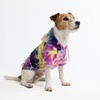 image:imageSpark Paws Dog Hoodie  ButterySoft Sweater Sweatshirt Clothes for PuppyBerry Lemonade